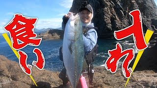 ブリ爆釣入れ食い状態‼️さらに他の魚も入れ食いに⁉️