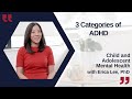 How Do Children with ADHD Present? Part 16