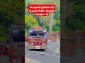 එයාලගේ ලස්සන එක පාරකට වැඩ්ය බලන්න එපා😱💓🥰 automobile buslovers trendingshorts 1millon trending