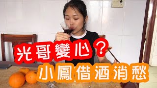 小鳳和光哥感情出了問題，獨自去外面散心，只能借酒消愁【田野小鳳】