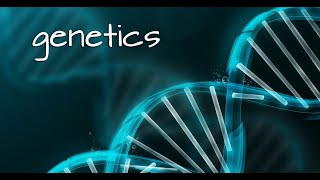 'Genetics' - Ambient mix - Chill music. Study music - Chillout Downtempo