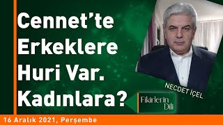 CENNETTE ERKEKLERE HURİ VAR. KADINLARA? | FİKİRLERİN DİLİ | NECDET İÇEL