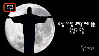 주님의 사랑 그리울 때... 듣고 싶은 묵상곡 모음 - 생활성가/CCM/가스펠 (묵상음악 연주)