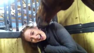 Horse kisses