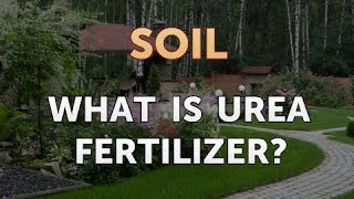 What Is Urea Fertilizer?