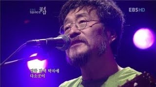 김창완    찻잔