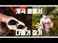 1급수 다슬기 잡기/catching marsh snails(수경찬호티비,SukyungChanhoTV)