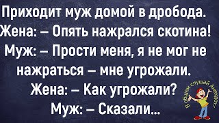 🤣Как Гаишник Компанию Бухих Караулил Сборник Весёлых Анекдотов, Юмор