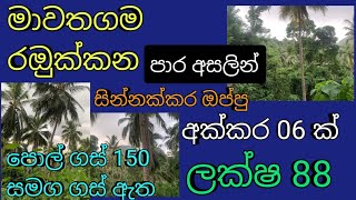 NO,,114 # පොල් ගස් 150,බෝග ඇති සින්නක්කර ,අක්කර 06 ක්   ලක්ෂ   88 ක්  පමනි ,,සියලුම පහසුකම් ඇත ,,