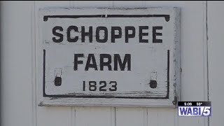 Maine farm using hemp to help clean up ‘forever chemicals’