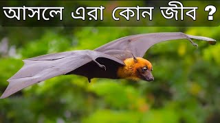 আসলে এরা কোন জীব । What Creatures Are They Actually | Amazing Facts | EP - 2