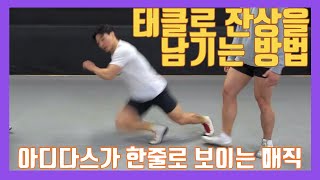 태클로 잔상 남기는 방법! 태클 속도 올리는 방법! 레슬링 전 국가대표가 가르치는 보디빌더들의 만두귀 만들귀 프로젝트!-17편 (부제: 나비처럼 날아 벌 처럼 쏘리라!)