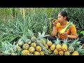 Harvesting the Pineapple garden goes to Market sell - Gardening | Tran Thi Huong