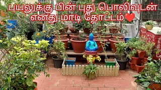 புயலுக்கு பின் புது பொலிவுடன் எனது மாடி தோட்டம்@srigardenneedsandvlogs32 #terracegarden