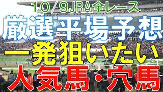 JRA 競馬予想 厳選平場予想 10月9日に狙いたい人気馬・穴馬