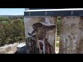 silo art in australia. all silos should be decorated like this