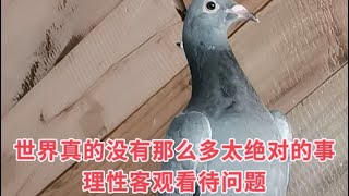 世上就是有奇迹的事发现，所以才会被称为神奇