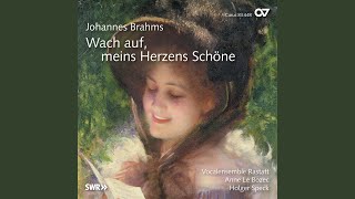 Brahms: 3 Quartette, Op. 31: II. Neckereien