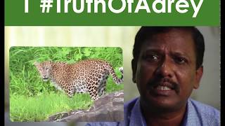 Is Aarey a Forest? #truthofaarey #saveaarey