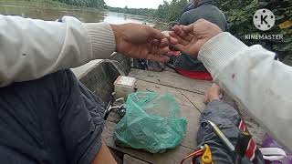 hasil dari berjuang seharian hilang secara misterius. mancing udang galah, di sungai KUALUH LABURA.