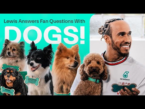 Cute Dogs Help Lewis Answer Fan Questions!