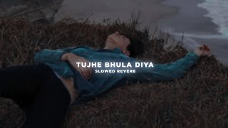 Tujhe Bhula Diya (slowed & reverb) | Akanni