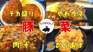 超コスパなデカ盛りハンバーグ！からあげも超デカ盛り！#豚菜