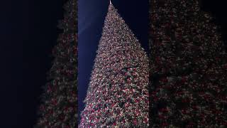 MEGA GROTE KERSTBOOM