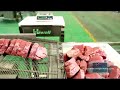 hiwell intelligent portion cutter same weight