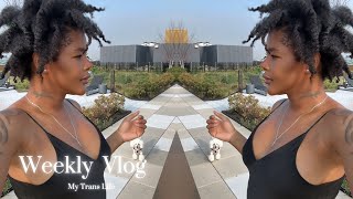 Week In The Life | Black Trans Cookout | Brooklyn + Queens New York