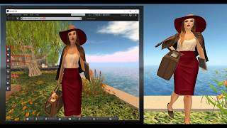 SL Appearance Mini-Series #1 - The Basics