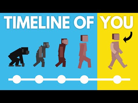 How long have humans been on earth compared to the age of the Earth?