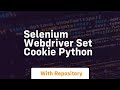 selenium webdriver set cookie python