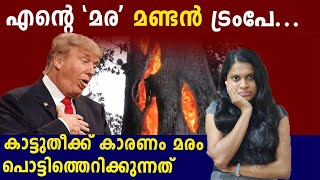 മര'മണ്ടന്‍ Donald Trumpന്റെ ഭൂലോക പൊട്ടത്തരം | Oneindia Malayalam