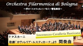 Mascani/ Intermezzo from Cavalleria Rusticanaマスカーニ「カヴァレリア・ルスティカーナ」より間奏曲