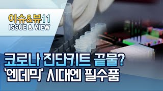 코로나 진단키트 끝물?…'엔데믹' 시대엔 필수품 / 머니투데이방송 (뉴스)