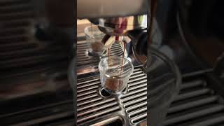 How a regular guy dials in for espresso with the Breville Barista Pro