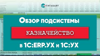 Казначейство в «1С:ERP. Управление холдингом» (1С:Предприятие 8.3)