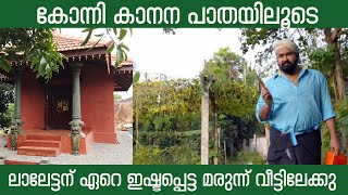 ചെങ്കോട്ടയിലെ മനോഹരമായ മരുന്ന് വീട് /Ayurveda Medicine House /#pachila #mohanlal