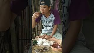 Makan daun bayam liar dan daun sintrong hasil alam + ikan japuh bakar