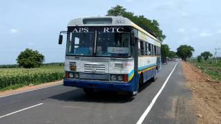 APSRTC AMARAVATHI GUNTUR SPL BUSES