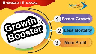 FeedWale Growth Booster | How To Use