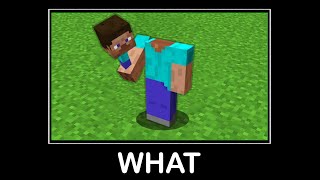 WAIT WHAT (Minecraft) #71