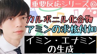 【大学 有機化学】～重要反応シリーズ⑥～　イミン・エナミンの生成