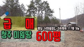 [매매완료] 청주 미원땅,평당 14만원 무려 600평이나 되는  고른 땅입니다. 뒷편 야산과 아름다운 산새소리..