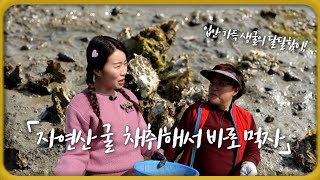 [숏클립] 자연산 굴 채취해서 바로 먹자! (KBS 2023.03.22 수 방송)