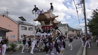 大阪狭山市試験曳き 半田東村 だんじり20191006