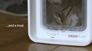 SureFlap DualScan Microchip Cat Flap