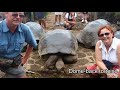 🚢 voyage through galápagos islands