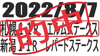 【競馬】２０２２年８月７日　札幌１１Rエルムステークス　新潟１１Rレパードステークスの予想と買い目